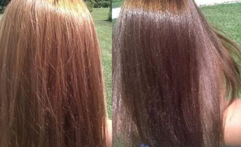 The Natural Hair Color Solution of EarthDye